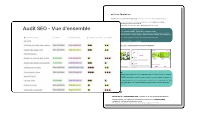 exemple d'audit seo au format pdf