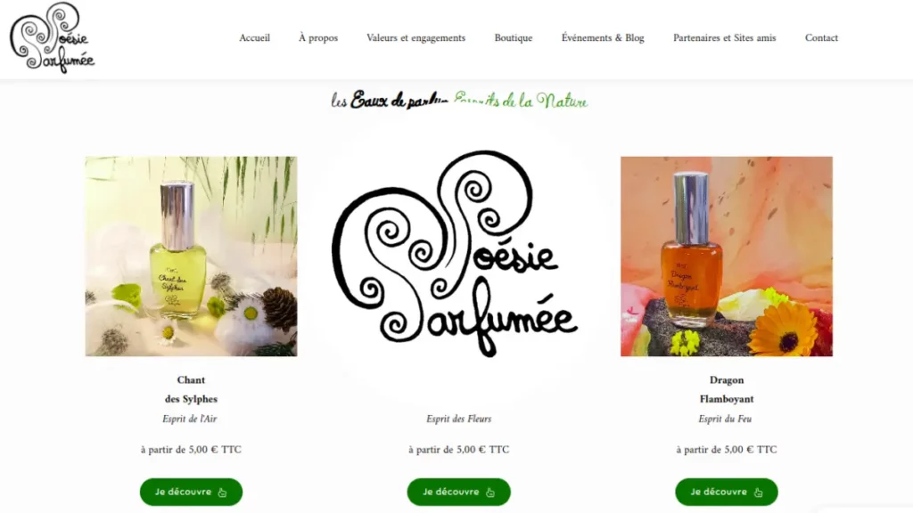 aperçu d'un site e-commerce de vente de parfums que nous avons conseillé pour optimiser son référencement naturel avec un petit budget