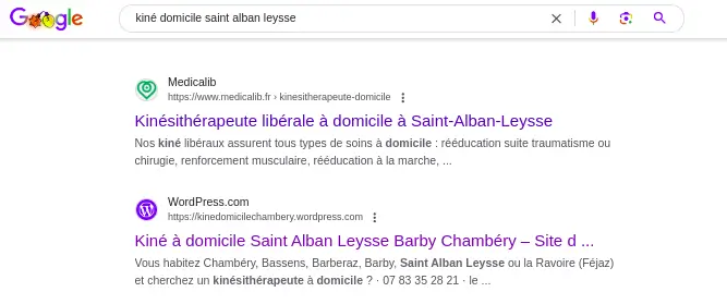 aperçu d'un site internet indexé dans google pour être affiché gratuitement